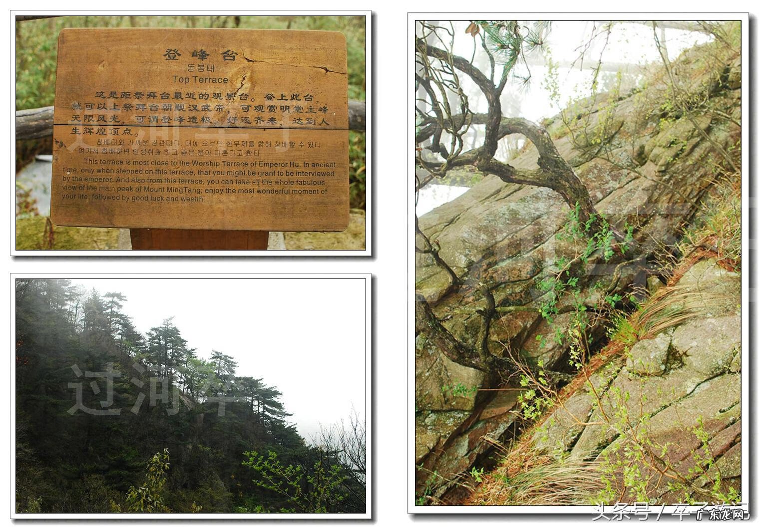 慈母的名字 风水地名字慈母抱