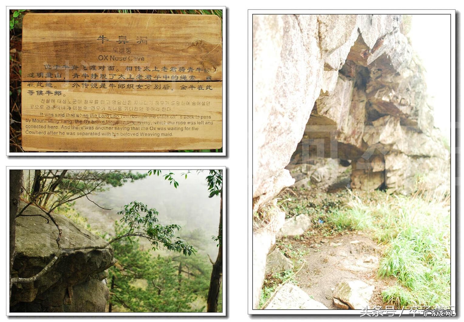 慈母的名字 风水地名字慈母抱