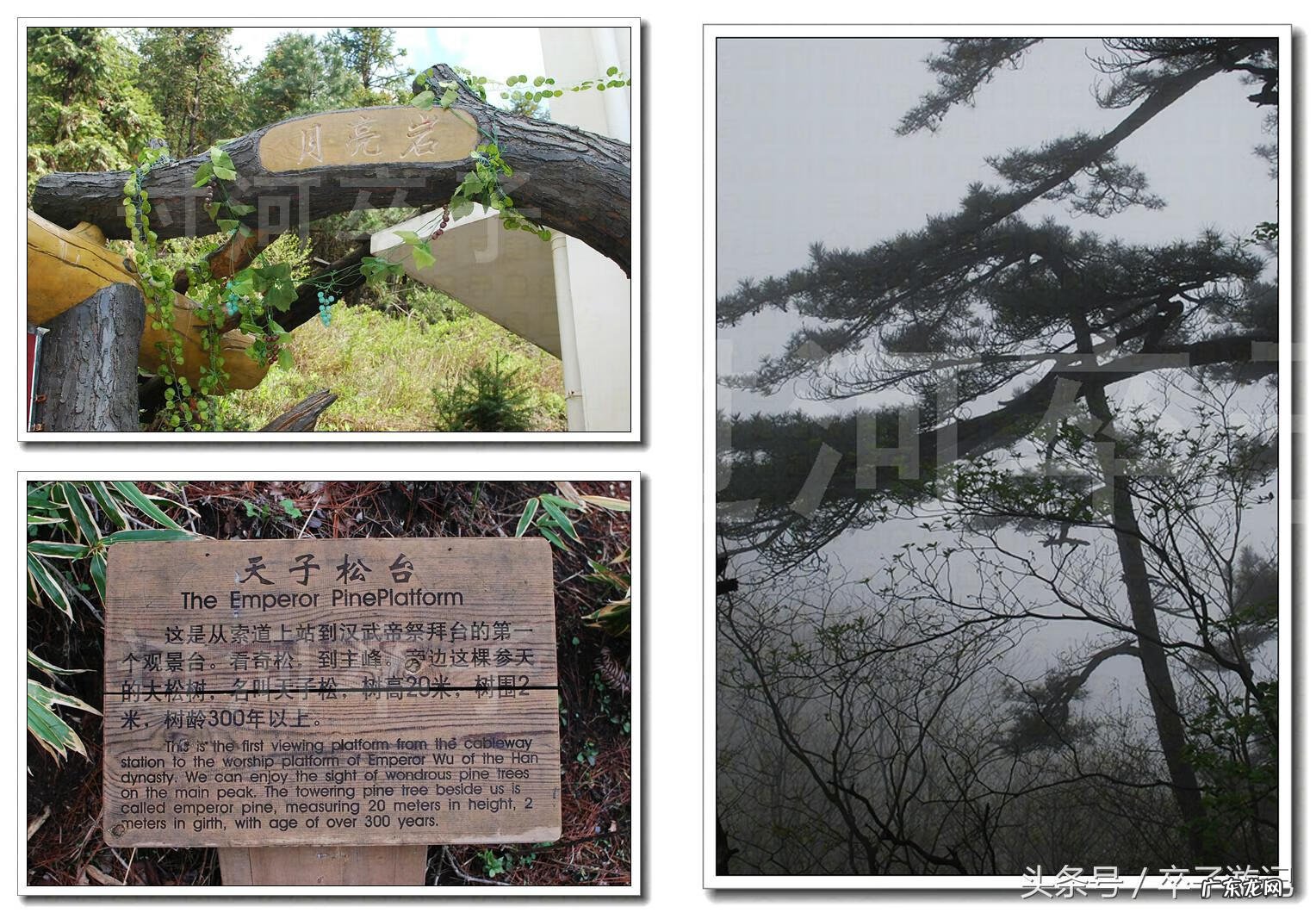 慈母的名字 风水地名字慈母抱