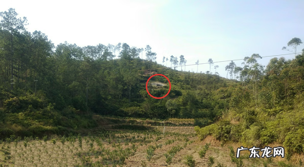 风水朱雀玄武指的是什么 人脸风水图朱雀玄武