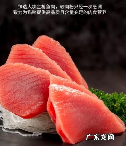 金枪鱼狗粮怎么样 金枪鱼猫粮怎么样