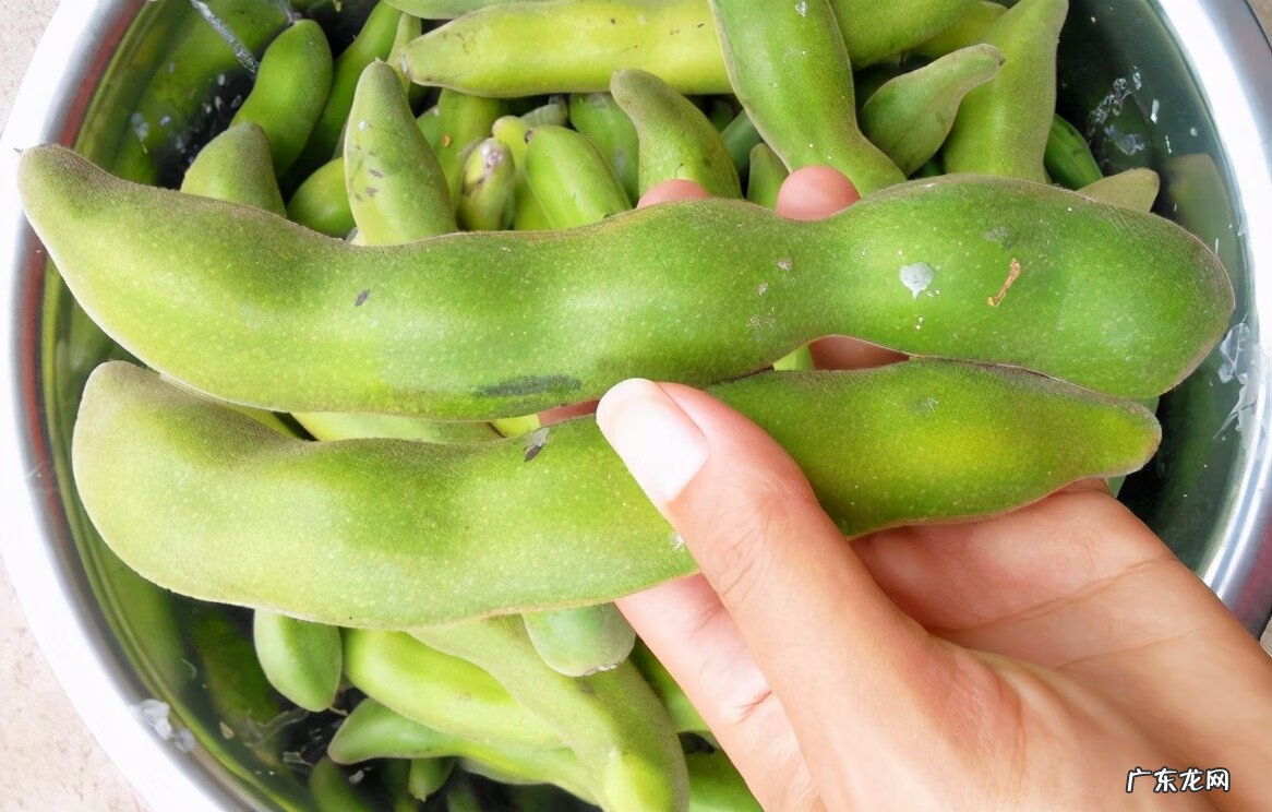 赖葡萄有什么寓意 赖葡萄长什么样图片