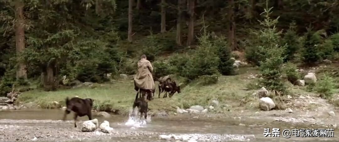 森林猎人车图片 森林猎人电影