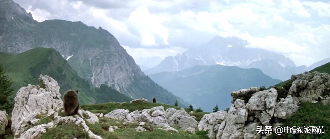 森林猎人车图片 森林猎人电影