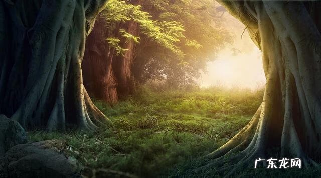 广交朋友好吗 广交朋友的人