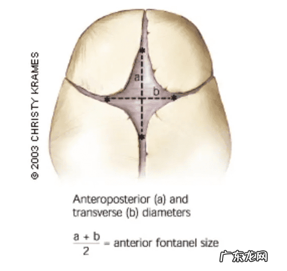 囟门大小标准 囟门小是怎么回事