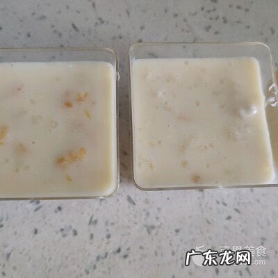 纯牛奶怎么做布丁 芒果牛奶布丁怎么做