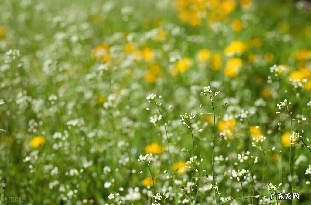 人工流产后注意事项和怎样调理 人工流产后注意事项有哪些?