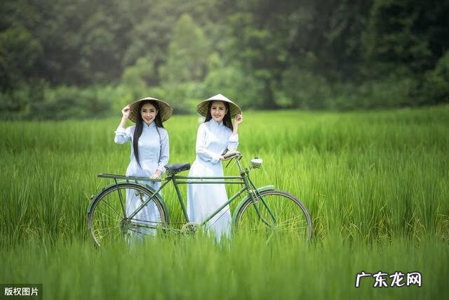 国内咖啡种植 咖啡种植地区