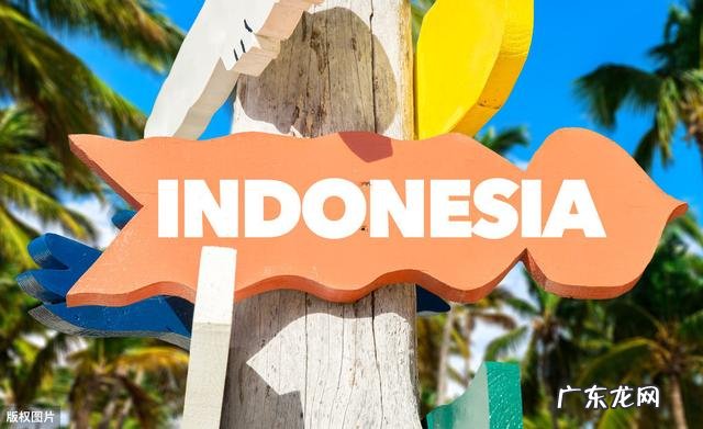 国内咖啡种植 咖啡种植地区