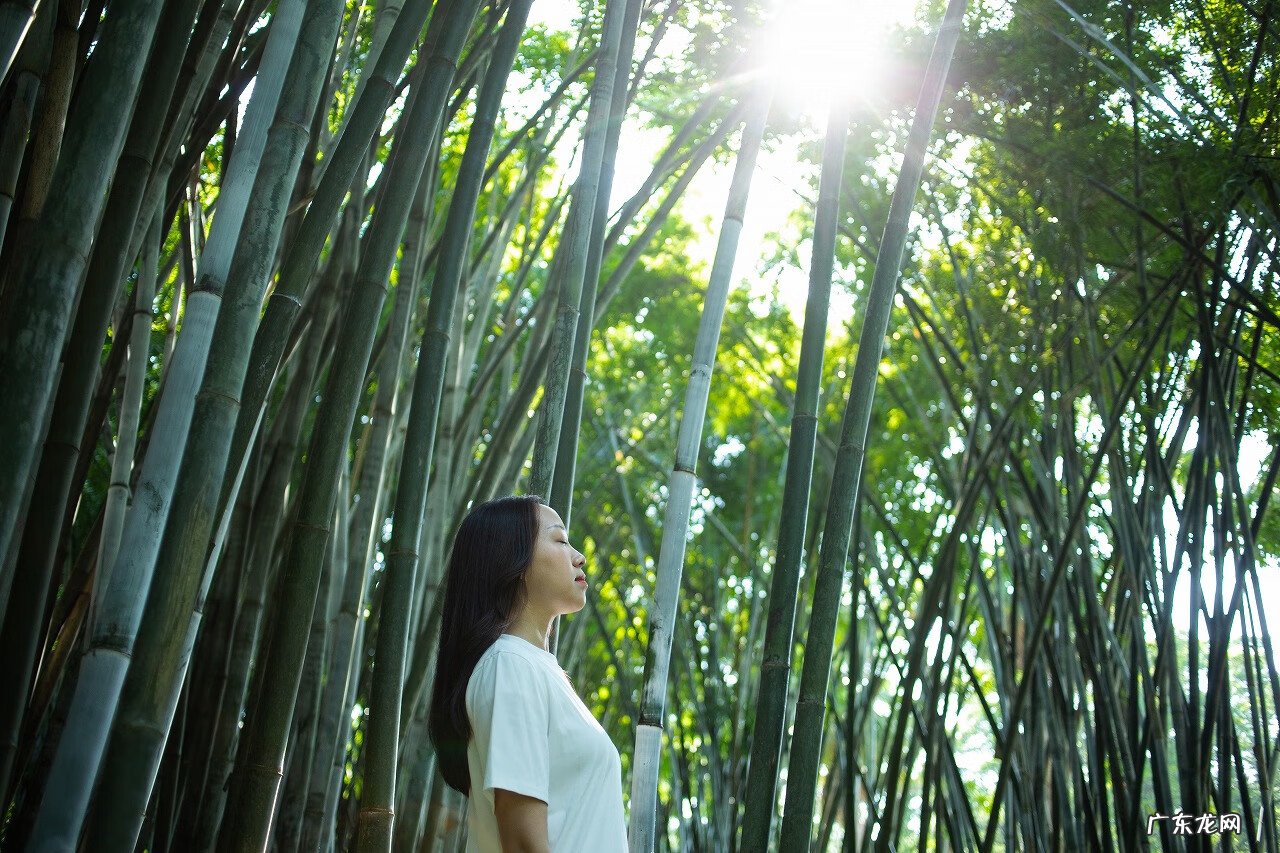 空间快乐吧软件 快乐空间是什么