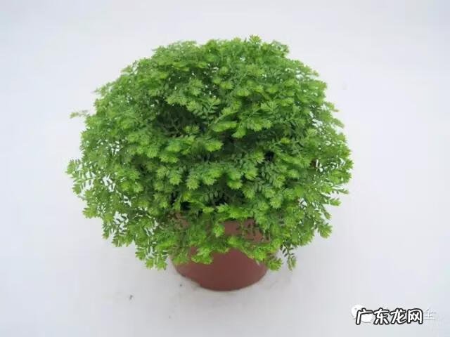 来宾风水图 来宾风水最好地方