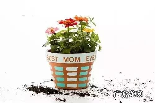 来宾风水图 来宾风水最好地方