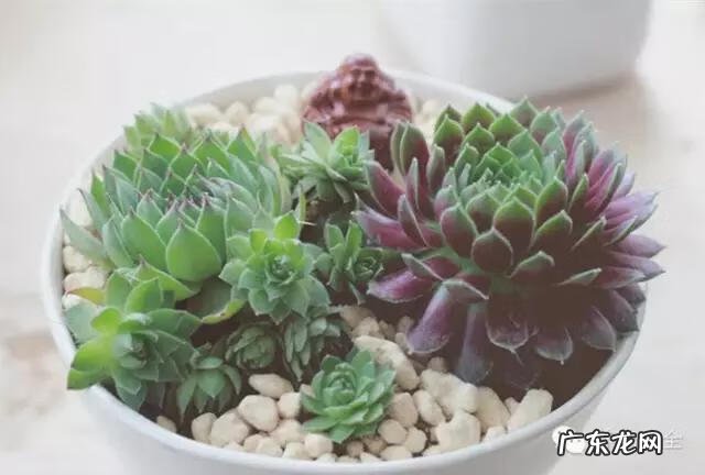 来宾风水图 来宾风水最好地方