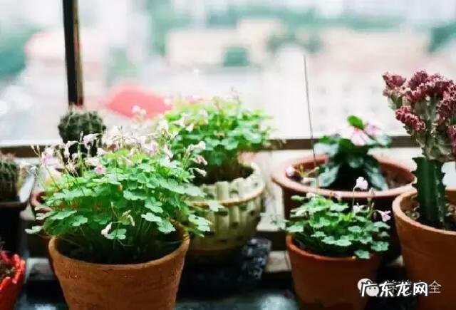 来宾风水图 来宾风水最好地方