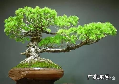 来宾风水图 来宾风水最好地方