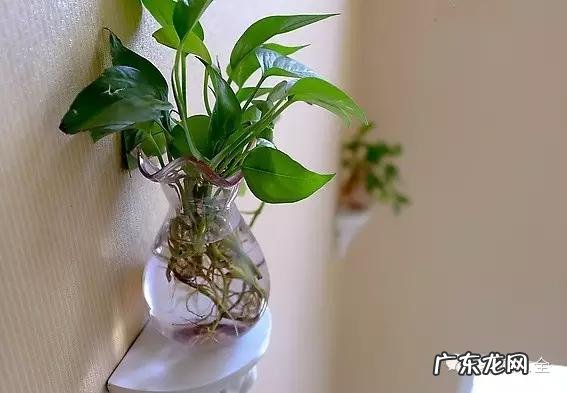 来宾风水图 来宾风水最好地方