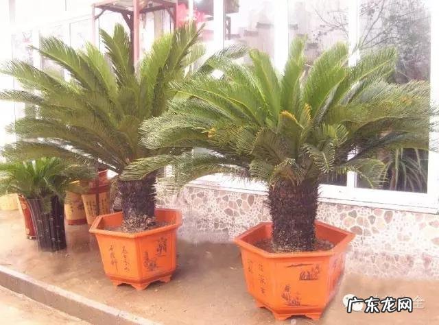 来宾风水图 来宾风水最好地方