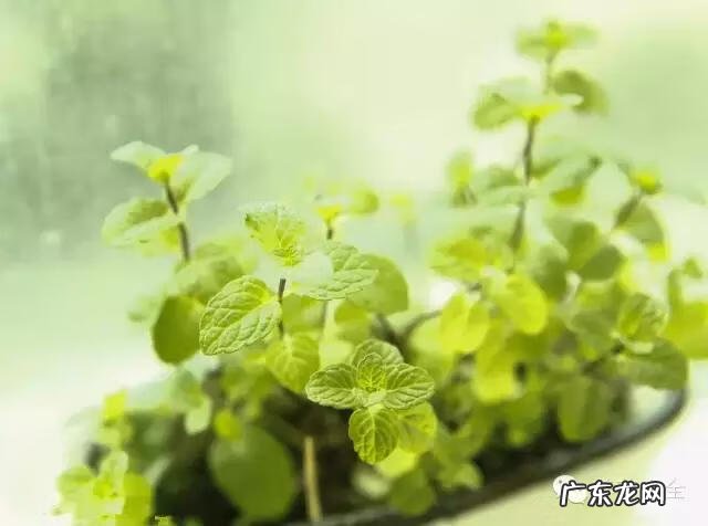 来宾风水图 来宾风水最好地方