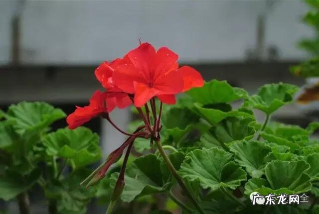 来宾风水图 来宾风水最好地方