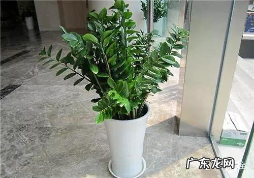 来宾风水图 来宾风水最好地方