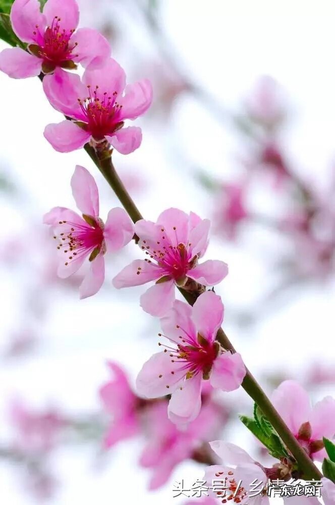 泉州有名的地理风水大师 泉州风水先生