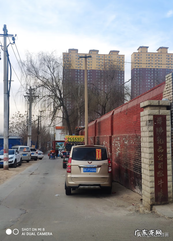 牛头挂件饰品的寓意 家里挂牛头有什么风水讲究