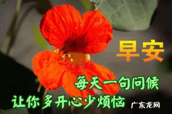 适合所有人的祝福语四字 适合发朋友圈的早安祝福语简短