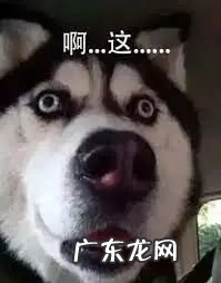 树莓派的用途 树莓派可以做什么项目