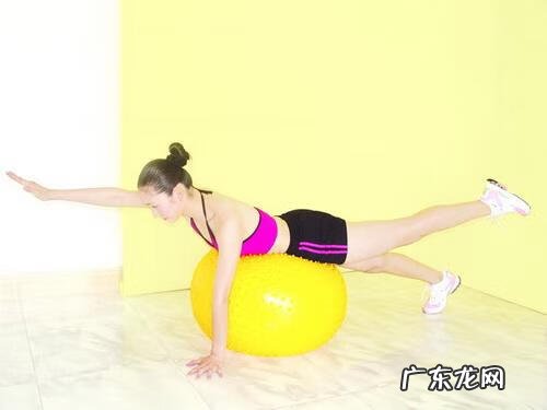 健身器材 健身球操一起来运动教学