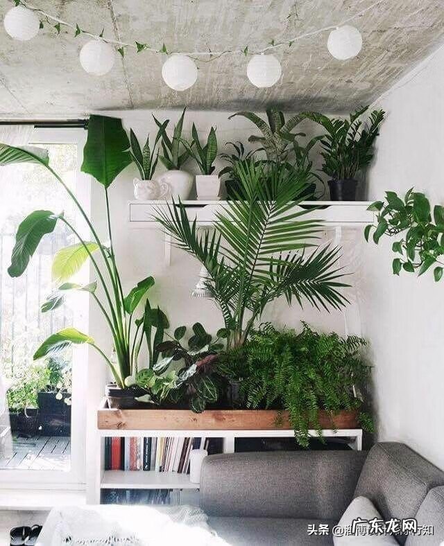 木门离地面标准 木门摩擦地面风水