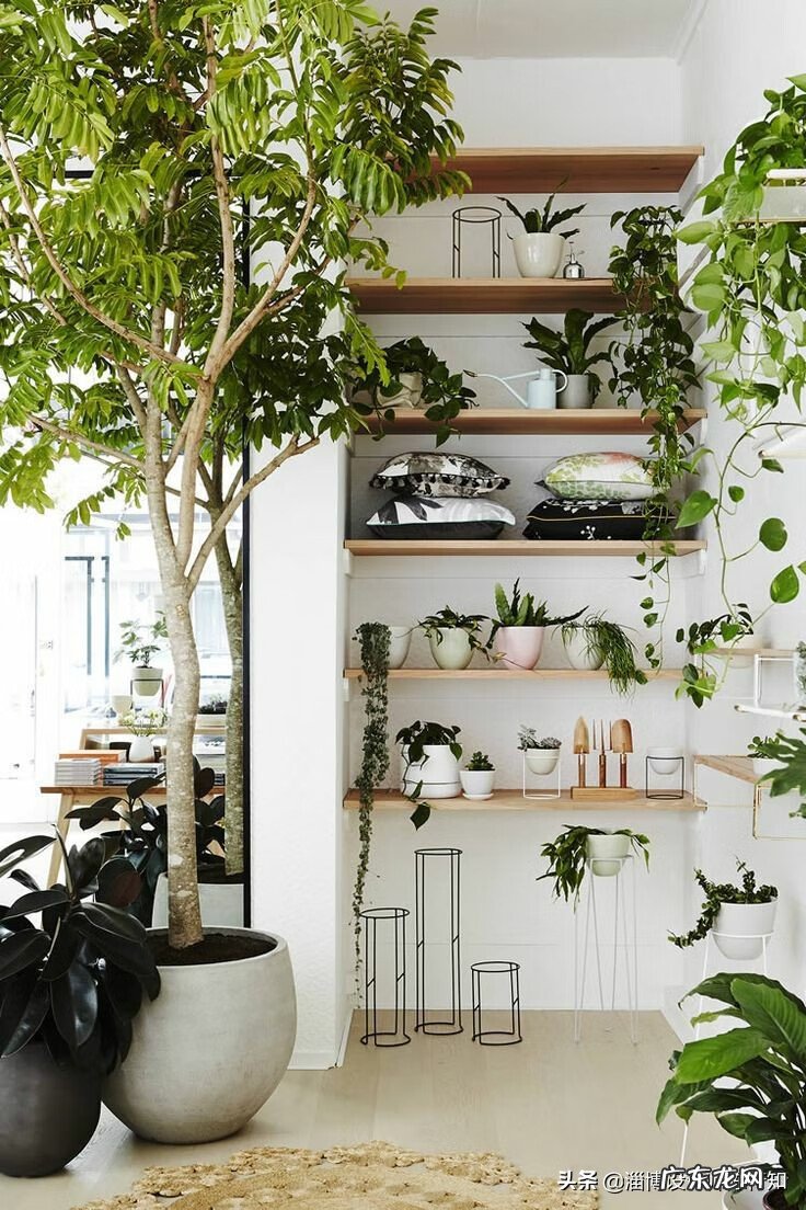 木门离地面标准 木门摩擦地面风水