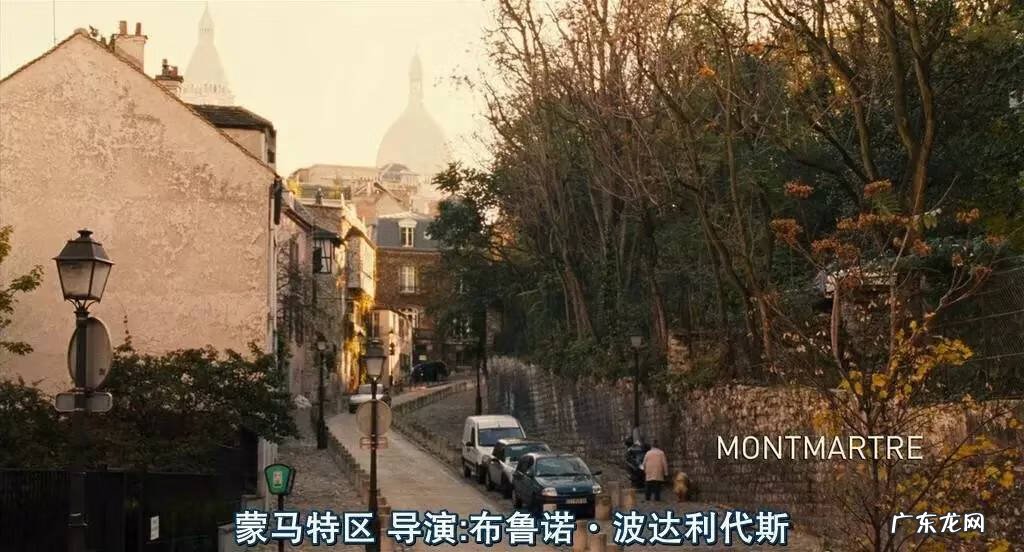 伊利亚 伊利亚的宠物手册