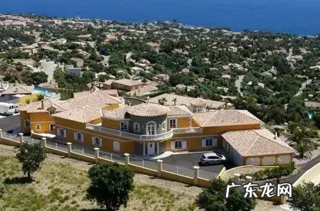 伊利亚 伊利亚的宠物手册