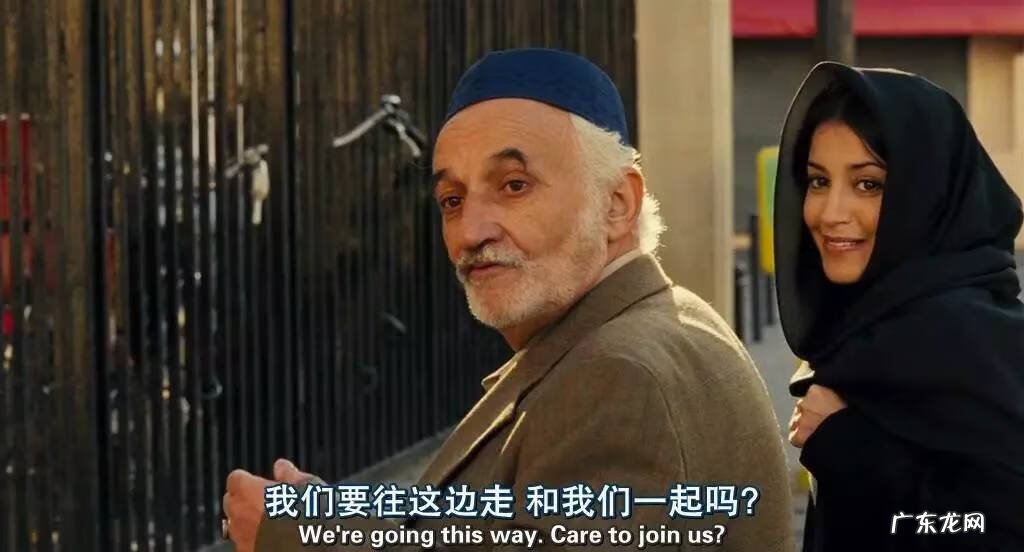 伊利亚 伊利亚的宠物手册