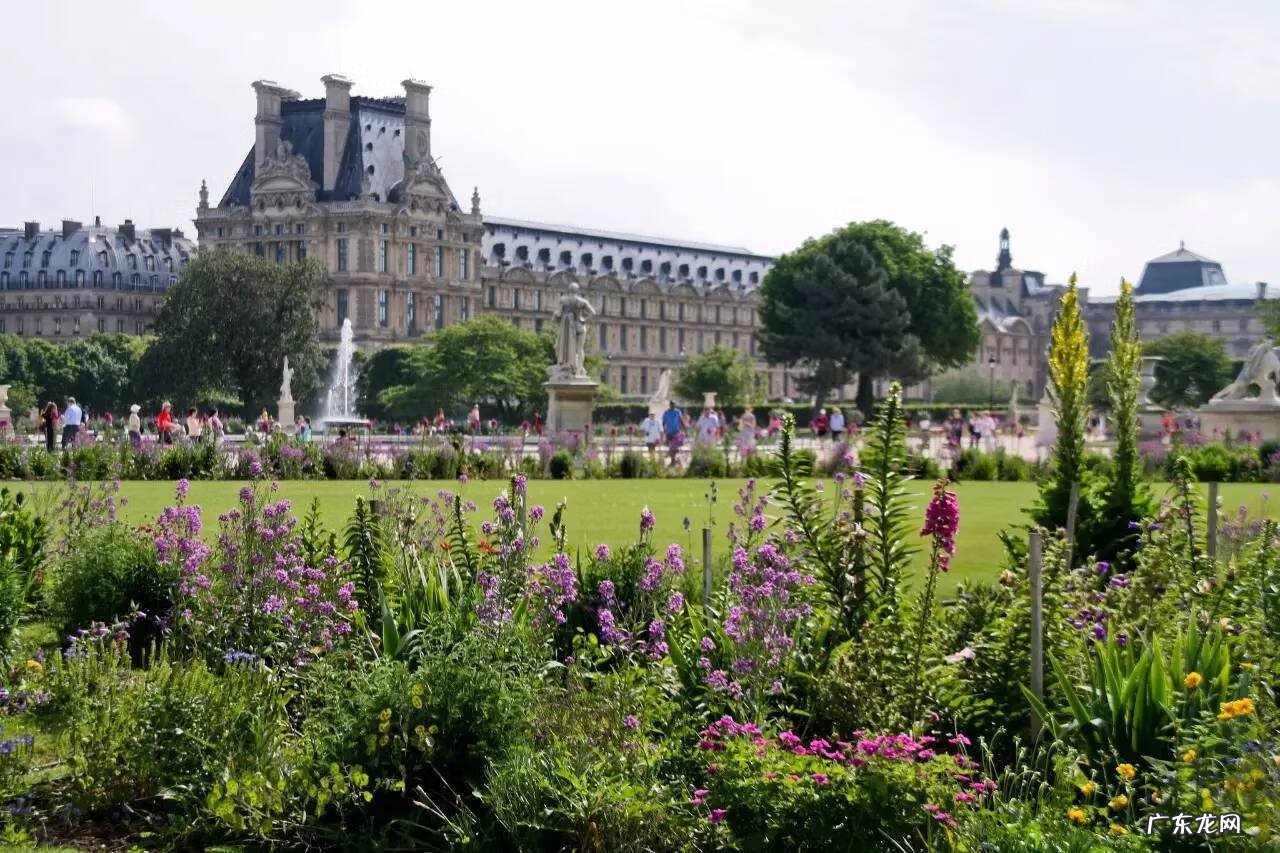 伊利亚 伊利亚的宠物手册