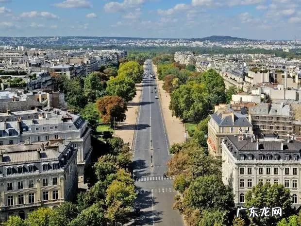 伊利亚 伊利亚的宠物手册