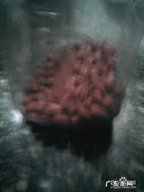 通草的功效与作用禁忌 通草的功效与作用点用