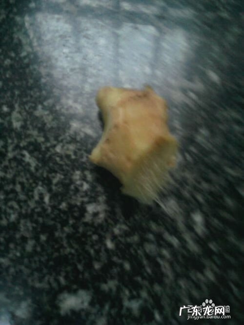 通草的功效与作用禁忌 通草的功效与作用点用