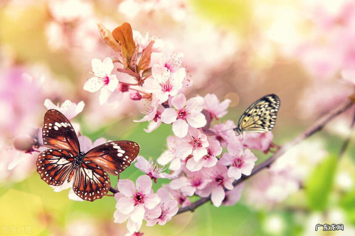 感冒了吃什么好得快一点 感冒了吃什么好的快速