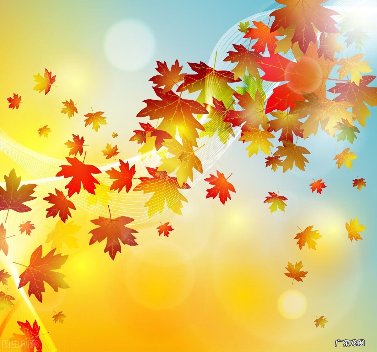 感冒了吃什么好得快一点 感冒了吃什么好的快速