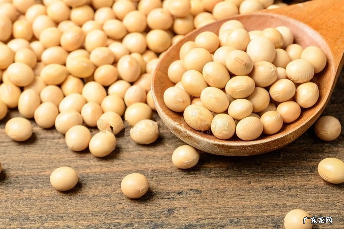 阴宅十二药精怎么用 风水用的六精药是哪几位