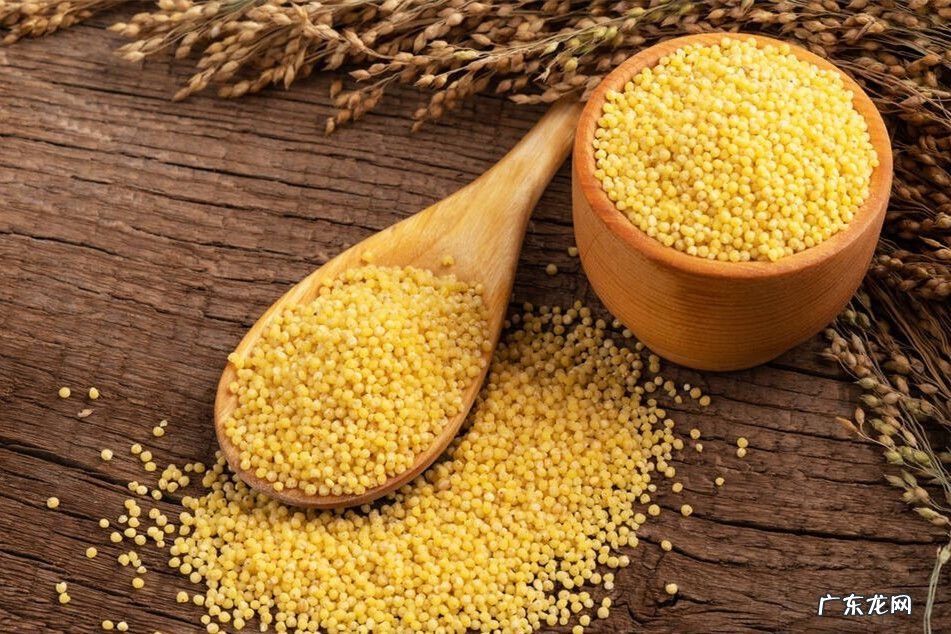 阴宅十二药精怎么用 风水用的六精药是哪几位