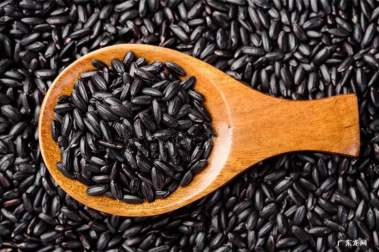 阴宅十二药精怎么用 风水用的六精药是哪几位