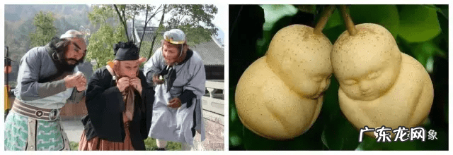 草莓风水上有啥寓意 蓝莓 风水