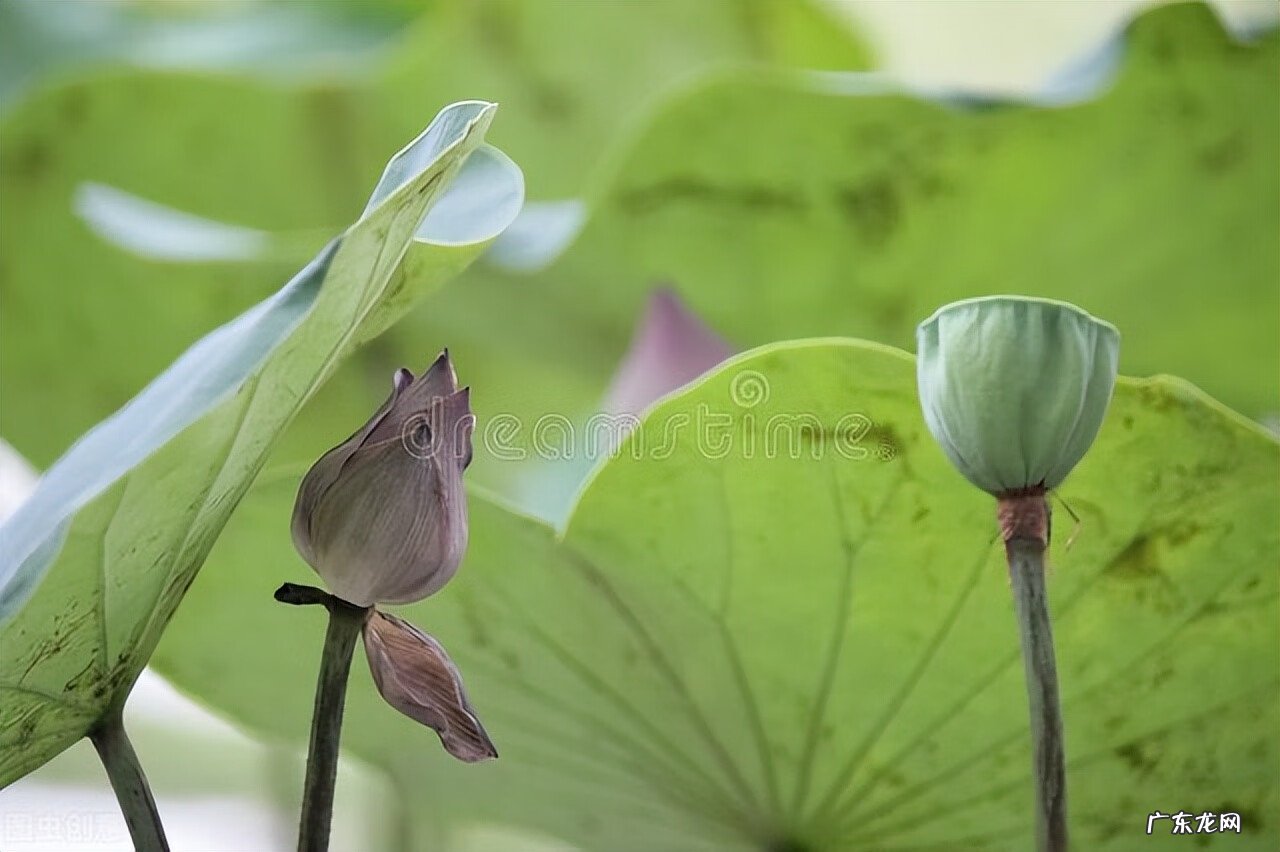 每个人都有自己的风水 为什么每个地区都有风水