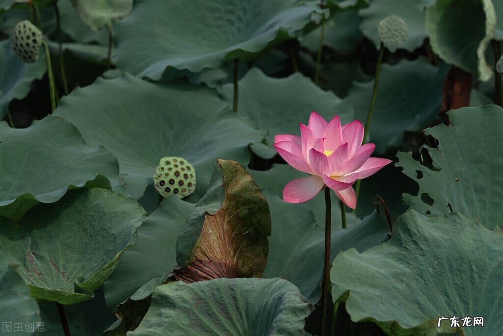 每个人都有自己的风水 为什么每个地区都有风水