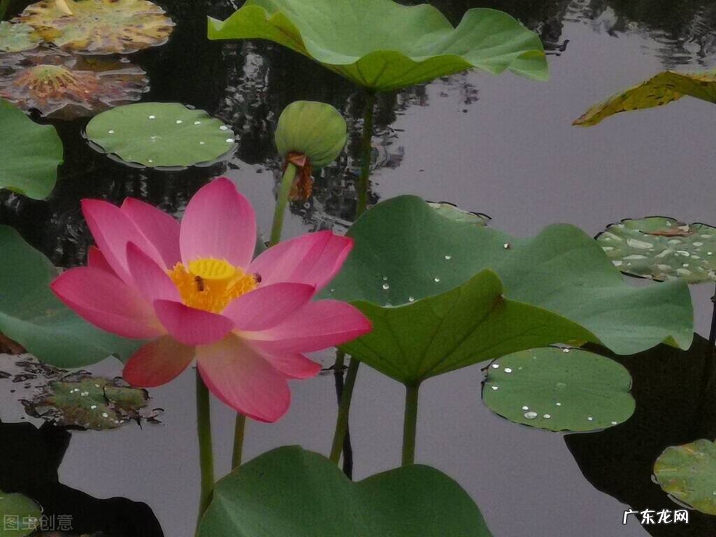每个人都有自己的风水 为什么每个地区都有风水