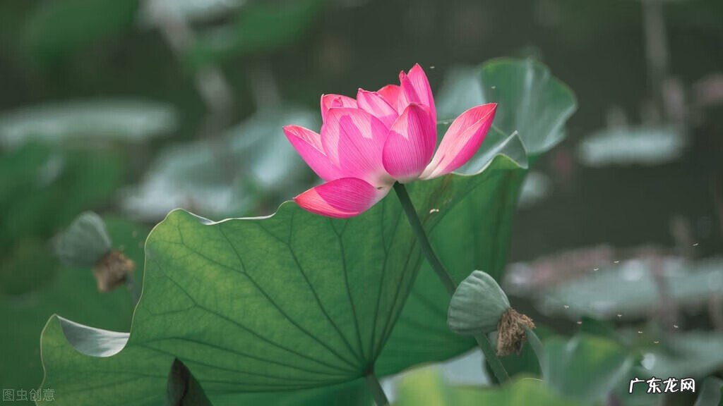 每个人都有自己的风水 为什么每个地区都有风水