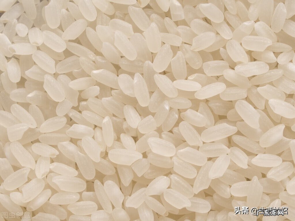 粳米和大米有什么不同 粳米和大米的区别是什么呢